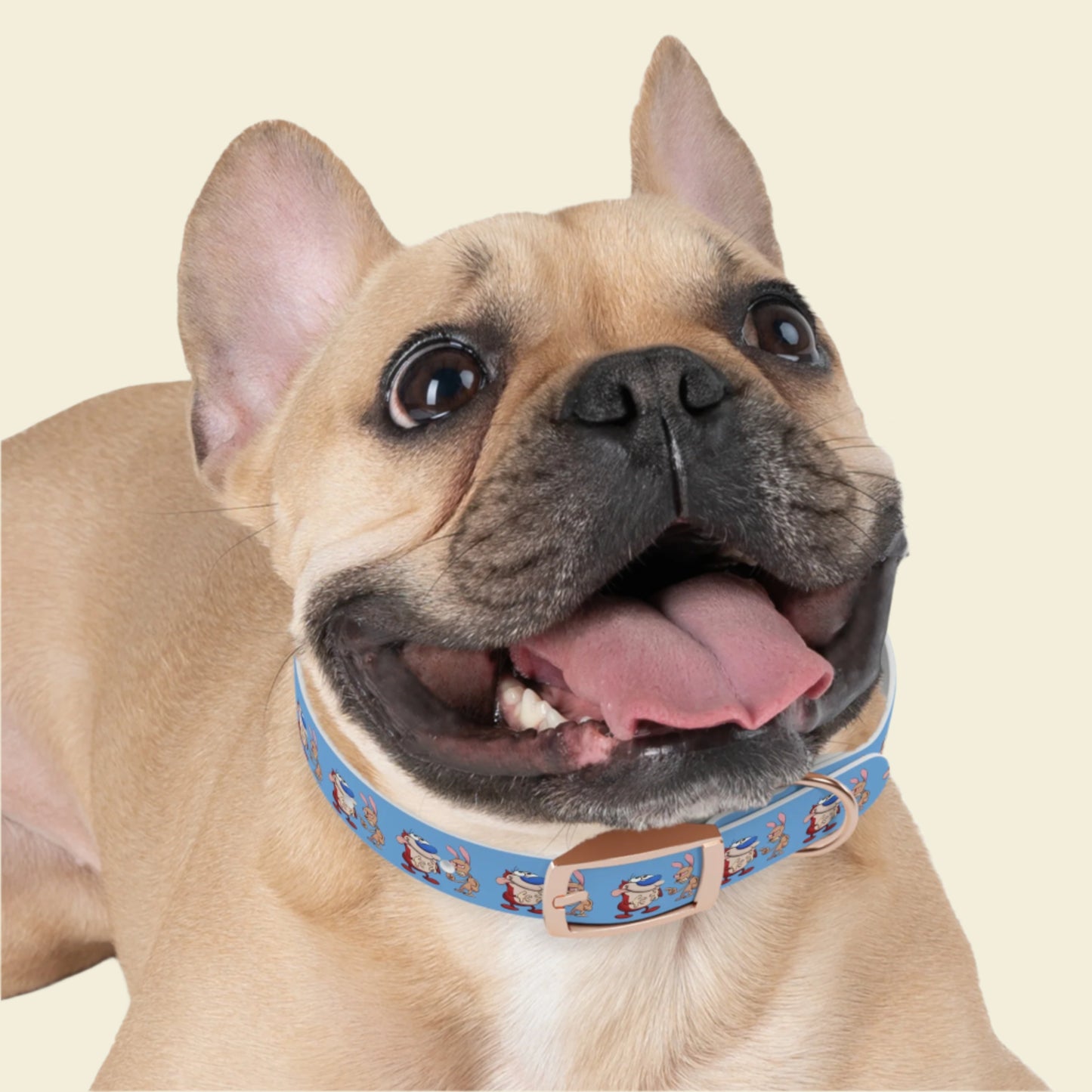 Custom Cartoon Dog Collar Ren and Stimpy. Rose gold buckle blue Pet collar.