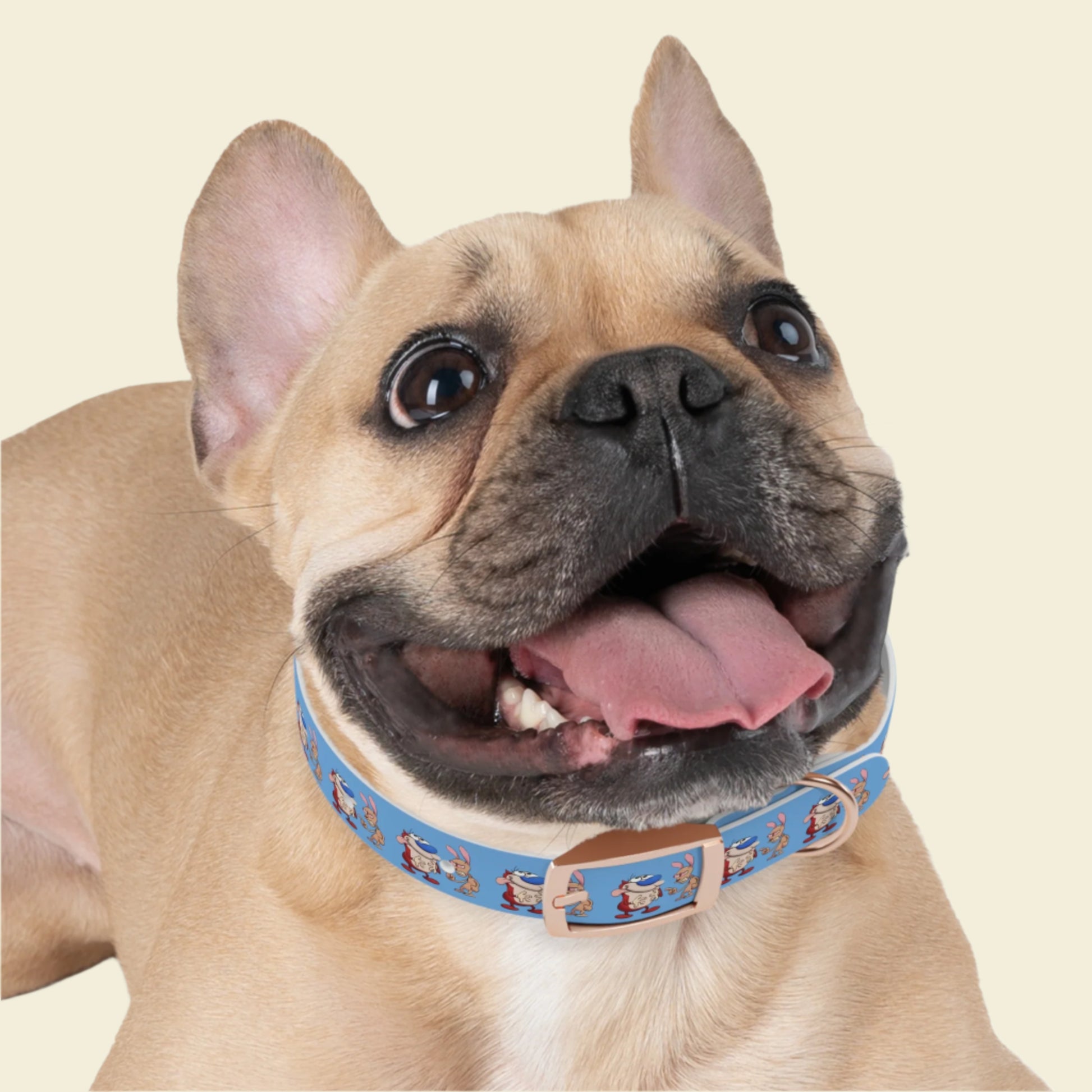 Custom Cartoon Dog Collar Ren and Stimpy. Rose gold buckle blue Pet collar.