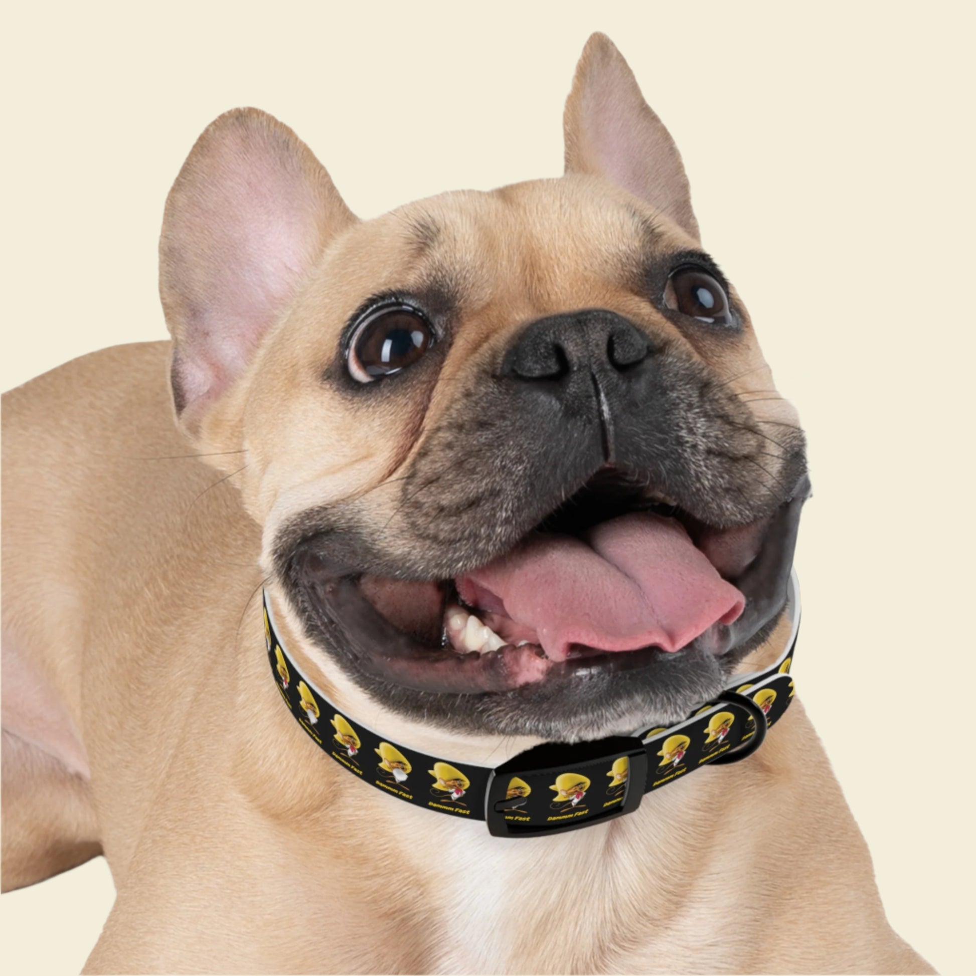 Speedy Gonzalez dog collar in black