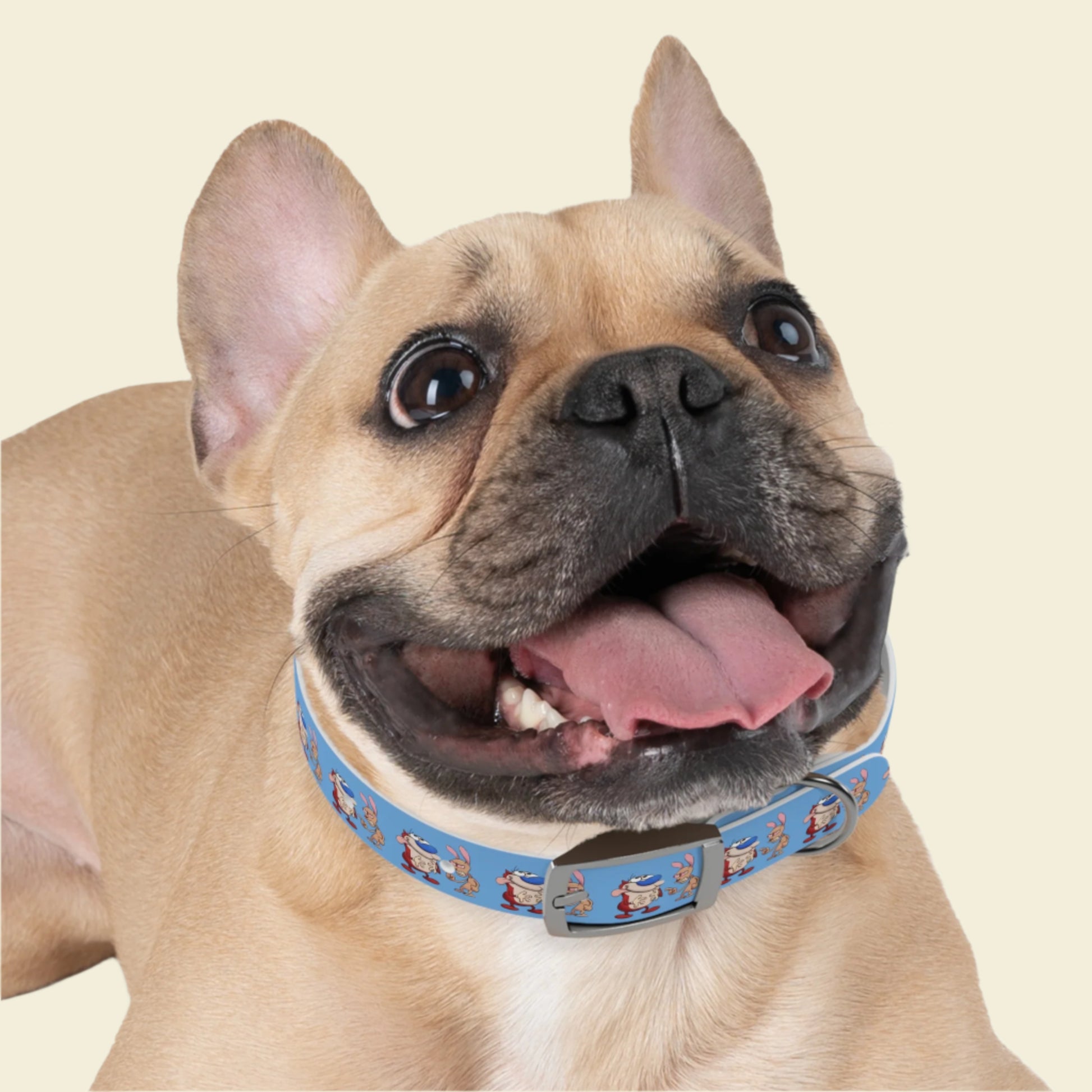Custom Cartoon Dog Collar Ren and Stimpy. Rose gold buckle blue Pet collar.
