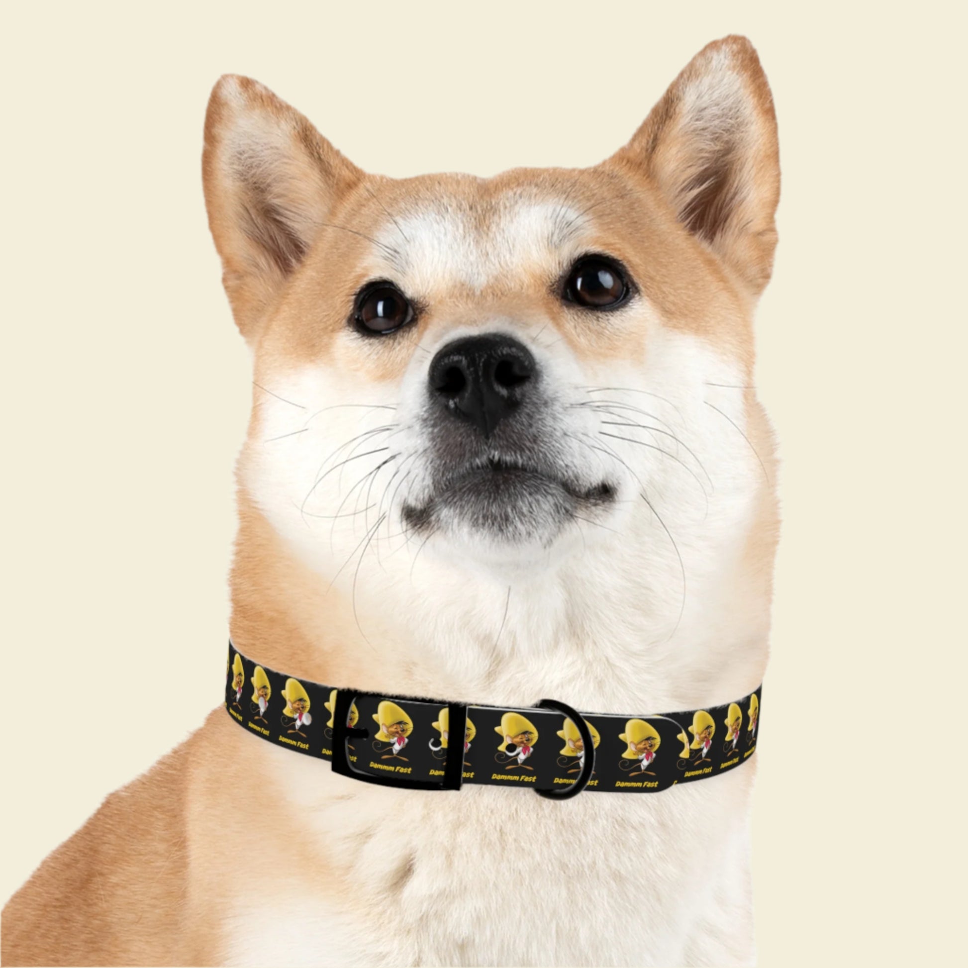 Speedy Gonzalez dog collar in black